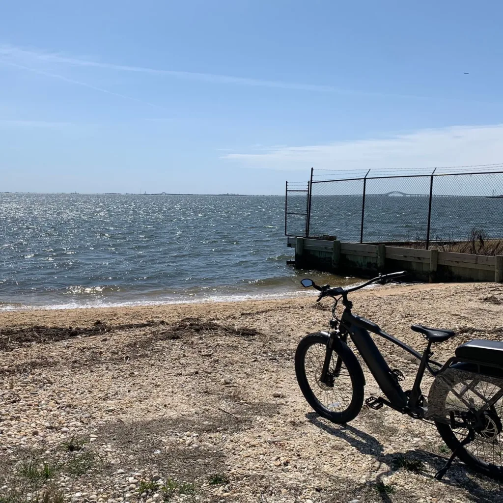 Image #1 from Robert N.