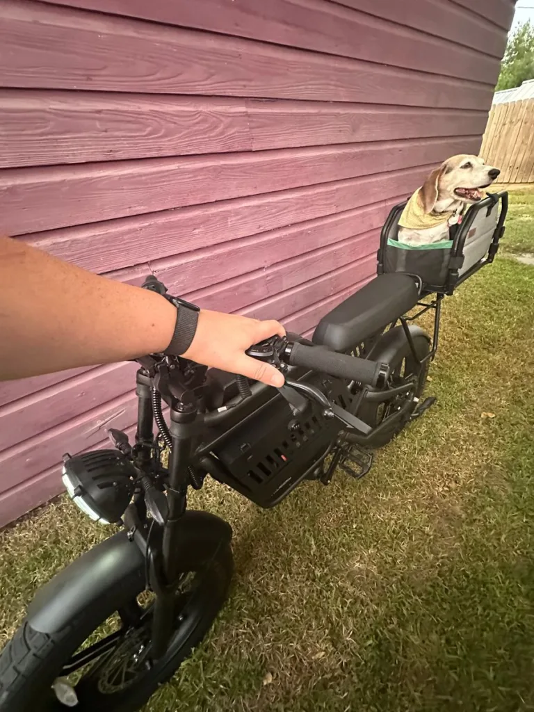 Image #1 from William J.