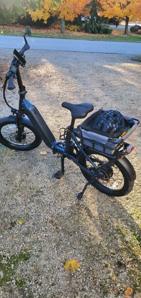 Image #1 from Wilfred Bott